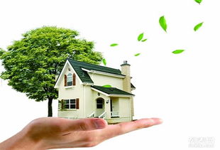 蘇州醛盾環(huán)保 專業(yè)守護(hù)車內(nèi)與室內(nèi)空氣健康，打造清新呼吸環(huán)境